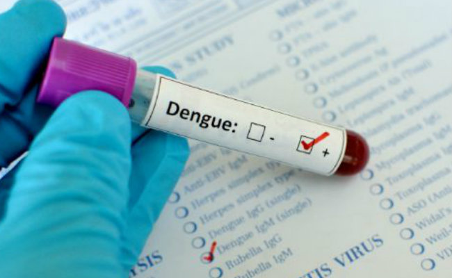 Dengue_killed_25_people_delhi_niharonline