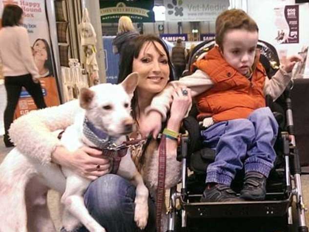 dog-miracle_for_chiled_niharonline.jpg