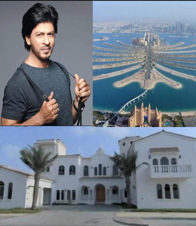 shahrukh-khan-signature-villa-in-dubai-niharonline