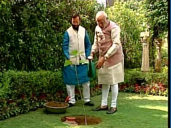 world_environment_day_pm_modi_plants_kadam_tree_sapling_niharonline